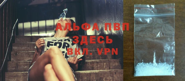 мдпв Новозыбков