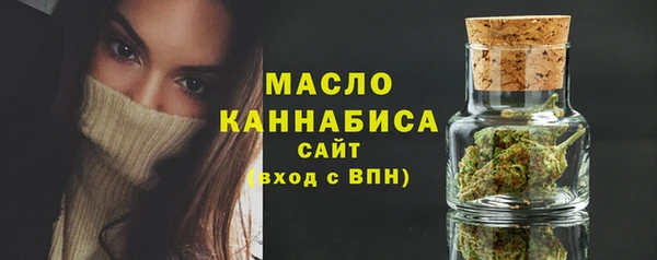 мдпв Новозыбков