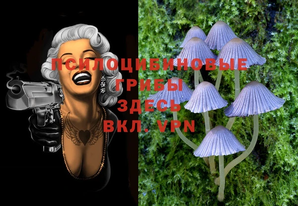 мдпв Новозыбков