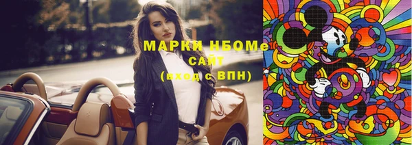 тгк Новодвинск